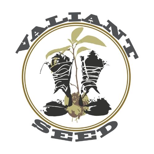 valiant seed logo